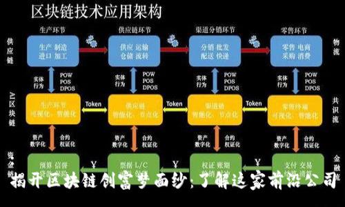 :
揭开区块链创富梦面纱：了解这家前沿公司