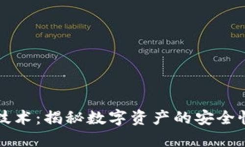 区块链解密技术：揭秘数字资产的安全性与隐私保护