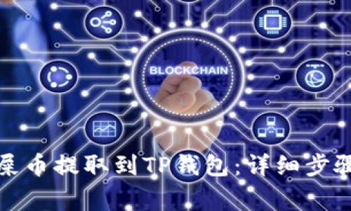 如何将抹茶屎币提取到TP钱包：详细步骤与注意事项