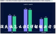 TP的币突然消失该怎么办？详解解决方案与应对措
