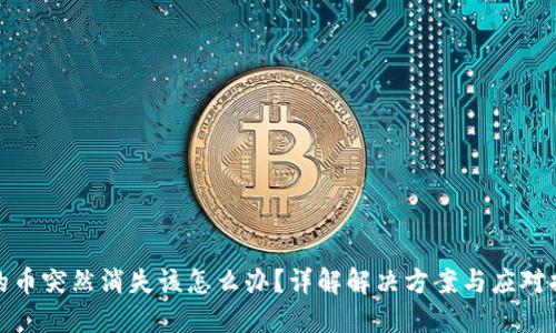 TP的币突然消失该怎么办？详解解决方案与应对措施
